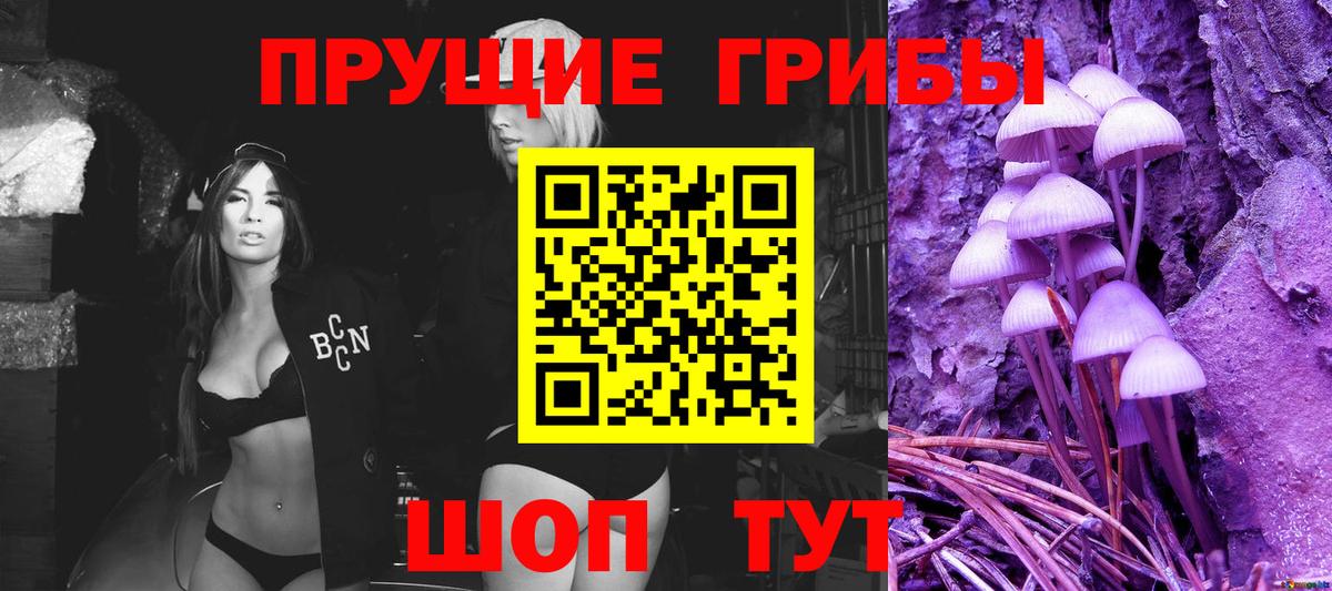 как найти закладки  Вход с VPN  Сыктывкар  Псилоцибиновые грибы MAGIC MUSHROOMS  Псилоцибиновые грибы мицелий 